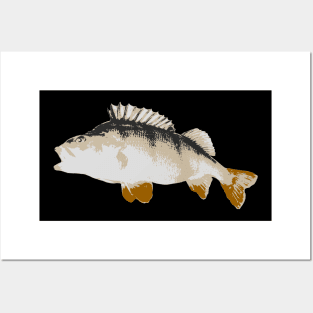 Perch multicolor design Posters and Art